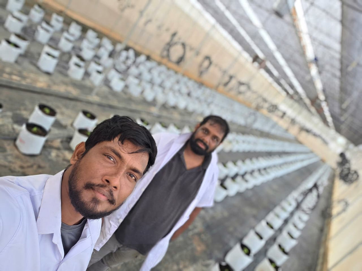 Image caption