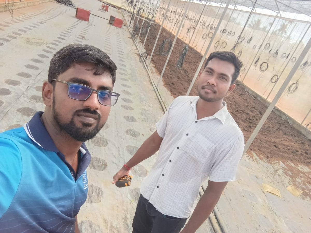 Image caption