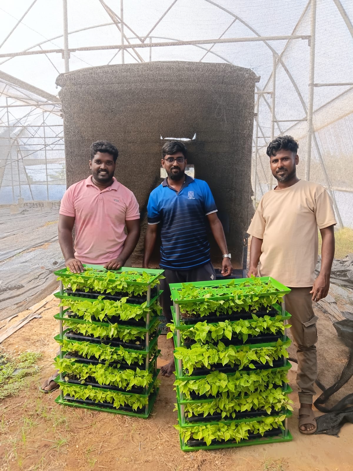 Image caption